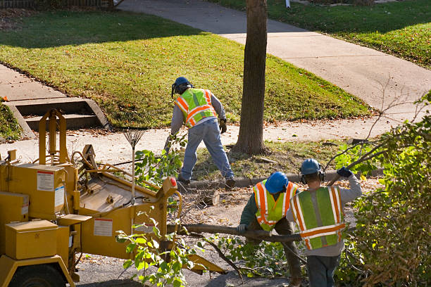 Best Seasonal Cleanup (Spring/Fall)  in USA